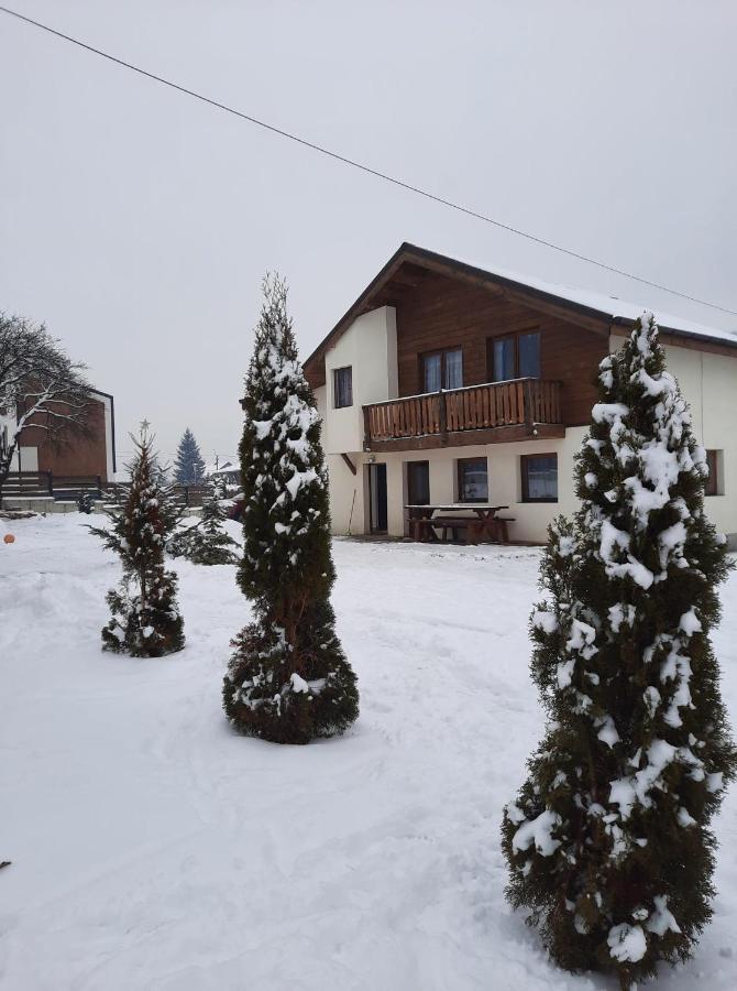 Casa Maria Hotel Vatra Dornei Exterior foto