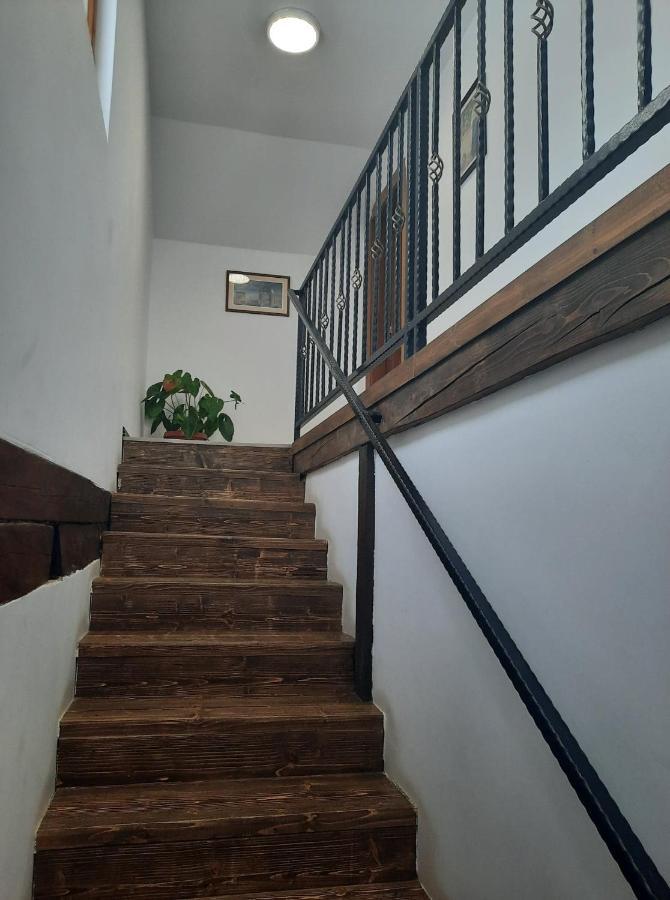 Casa Maria Hotel Vatra Dornei Exterior foto