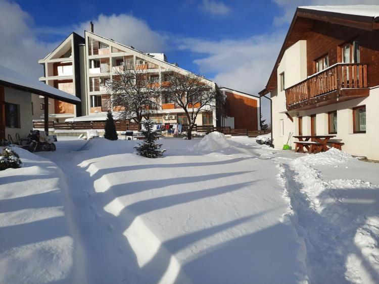 Casa Maria Hotel Vatra Dornei Exterior foto