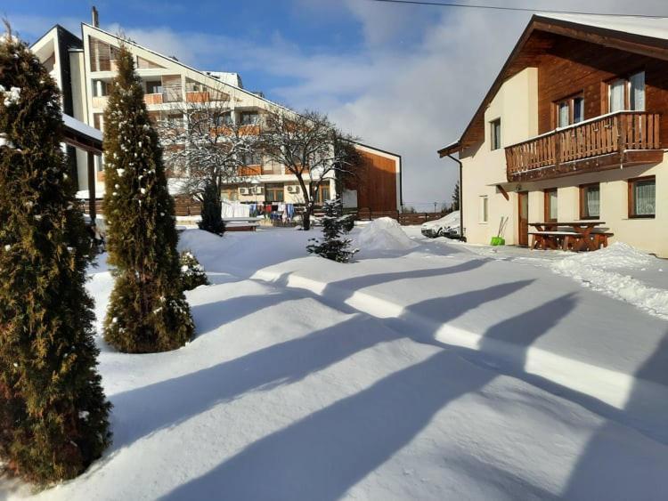 Casa Maria Hotel Vatra Dornei Exterior foto